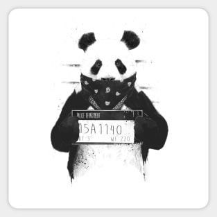 Bad panda Sticker